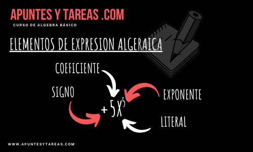 Elemento de una Expresion Algebraica